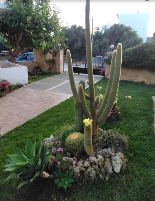 Antonia Apartamento Plakiás Exterior foto